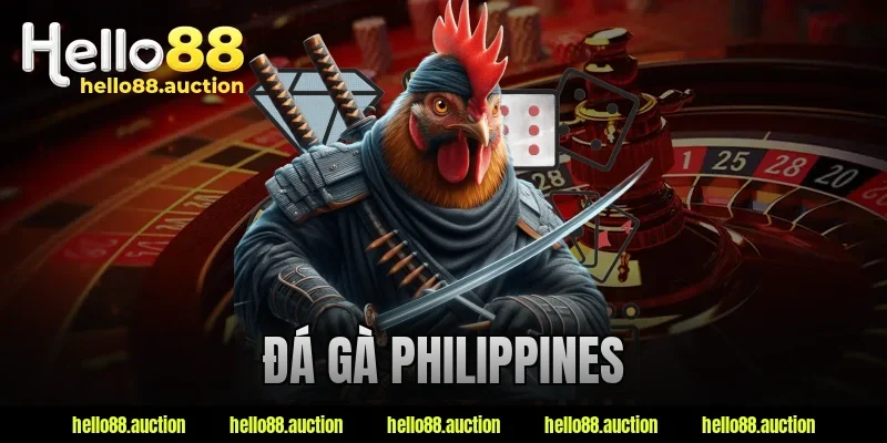 Đá Gà Philippines – Trực Tiếp Trận Đấu Kịch Tính Mỗi Ngày